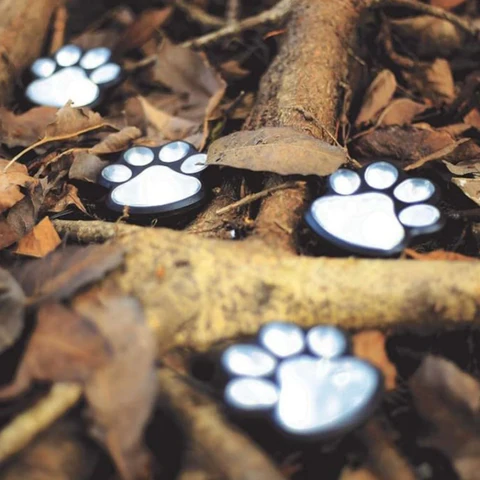 Get 49% OFF🌟 Solar Paw Print Garden Lights – Waterproof LED Outdoor Pathway Lamps (4 Packs)