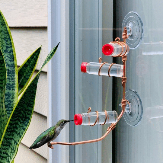 Modern 3 Station Window Hummingbird Feeder