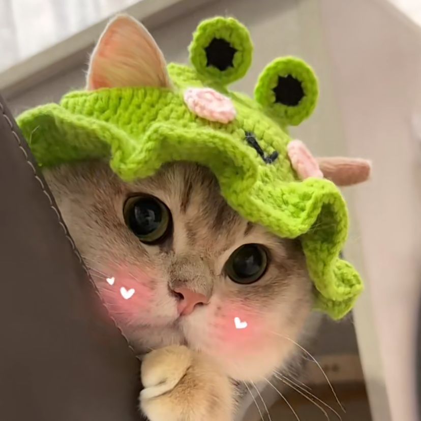 Hand-crocheted pet hats - Cute knitted hats for cats and dogs