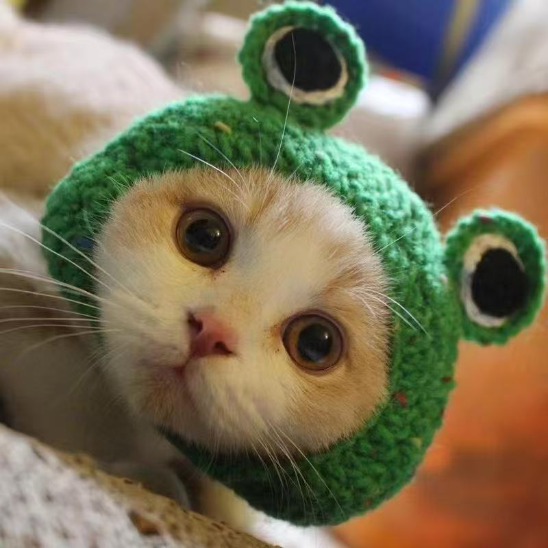 Hand-crocheted pet hats - Cute knitted hats for cats and dogs
