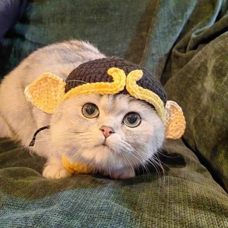 Hand-crocheted pet hats - Cute knitted hats for cats and dogs