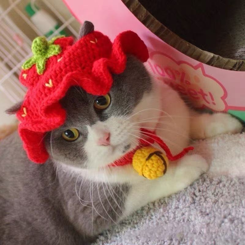 Hand-crocheted pet hats - Cute knitted hats for cats and dogs