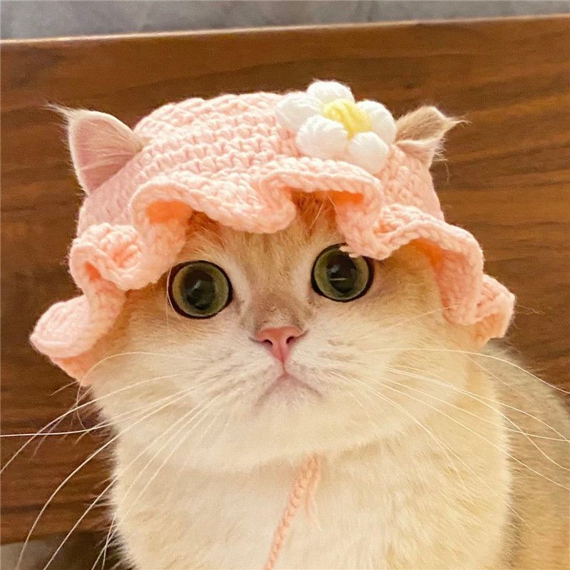 Hand-crocheted pet hats - Cute knitted hats for cats and dogs