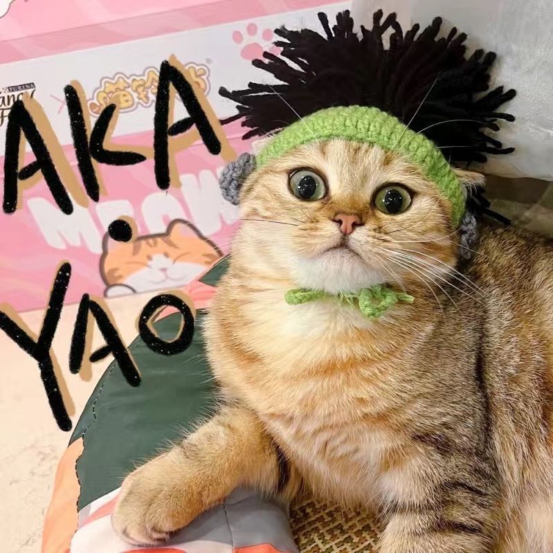 Hand-crocheted pet hats - Cute knitted hats for cats and dogs