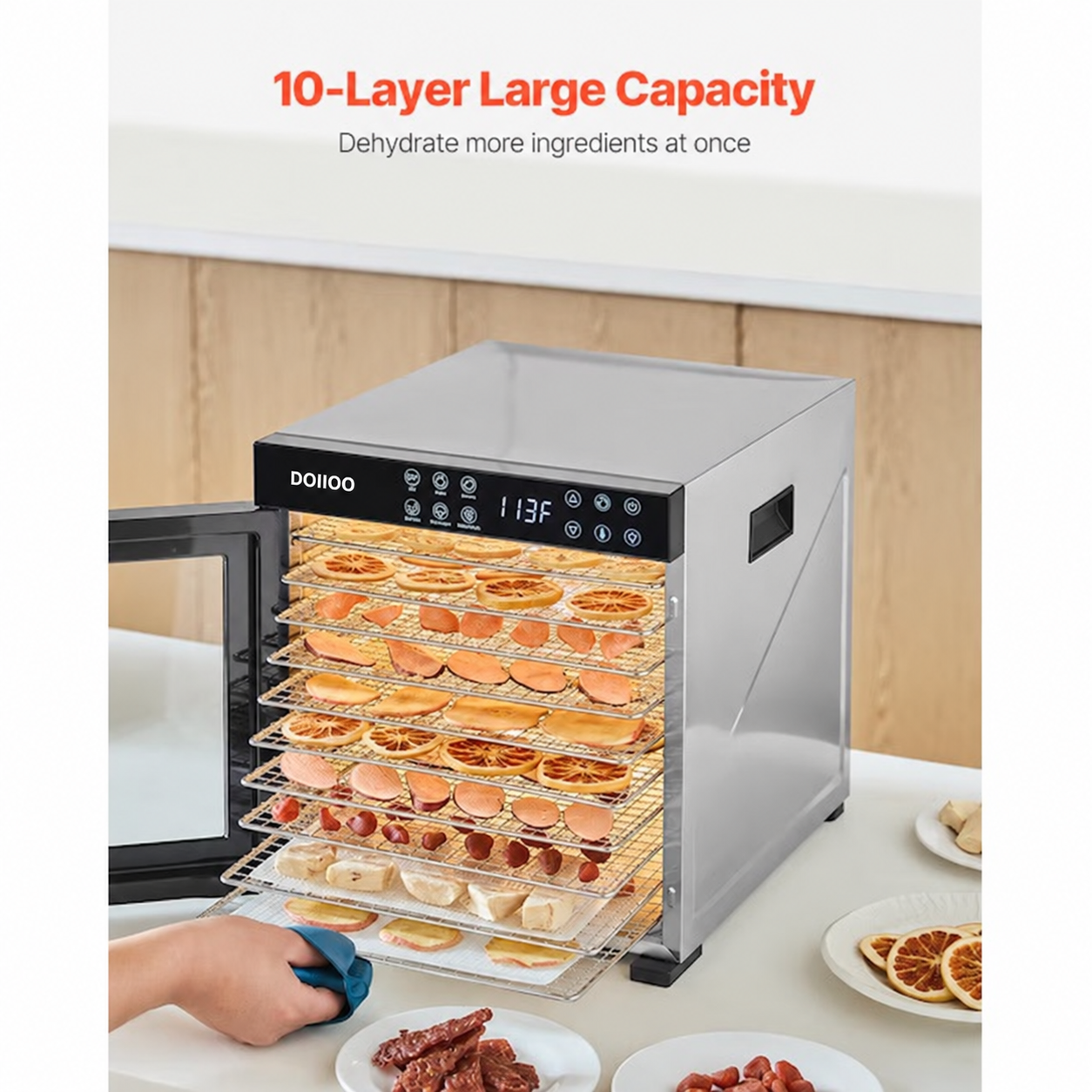 10 -Tray Stainless steel Food dehydrator