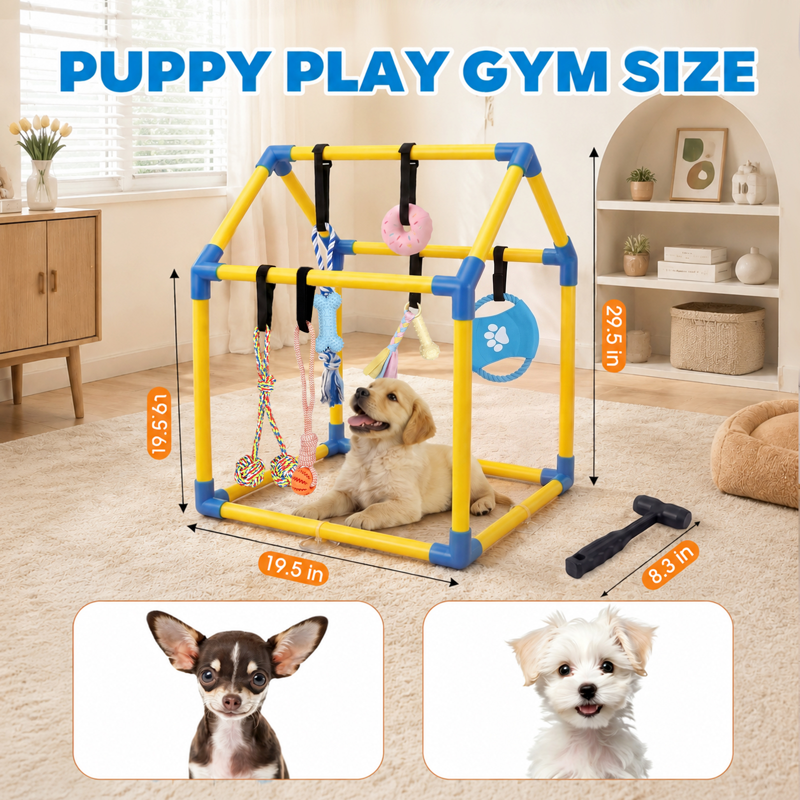 MQAAUP Small Dog Puppy Play Gym, PVC Indoor Interactive Activity Center with 6 Hanging Chew Toys, Adjustable Straps Relieve Puppy Boredom