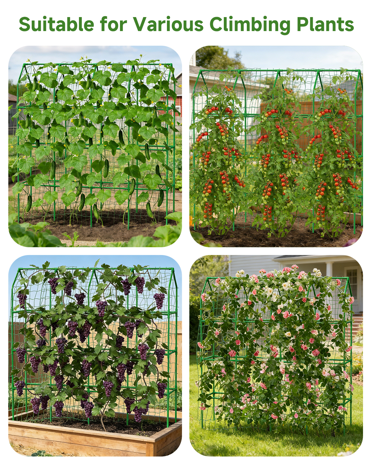 Cucumber Trellis for Climbing Plants Outdoor, A-Shape Garden Trellis for Raised Bed, Metal Plant Trellis with Garden Netting for Flower Vegetables, Pea, Grape ((67 * 17 * 65inch(L*W*H), Trellis)