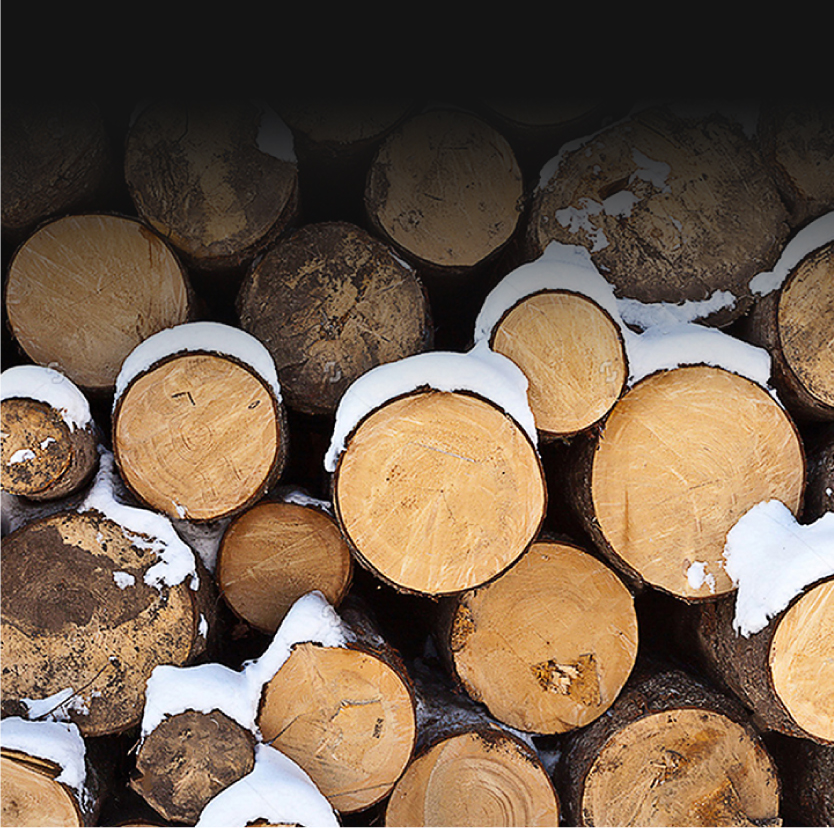 Hout als materiaal voor duurzame ROKR-bouwsets