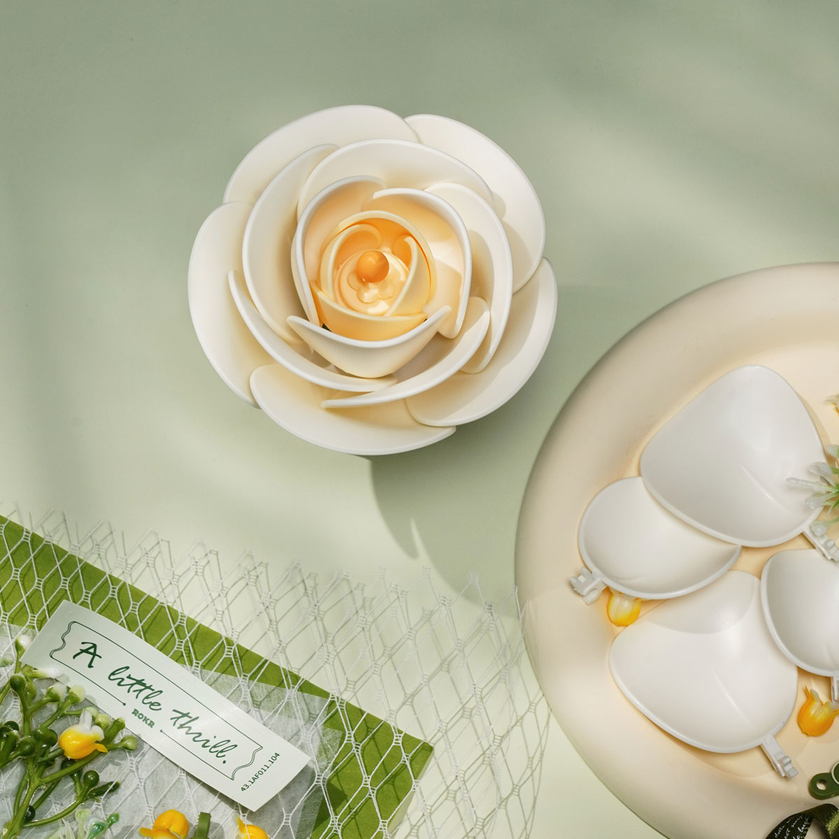 Primer plano de la camelia blanca y sus pétalos — AF011