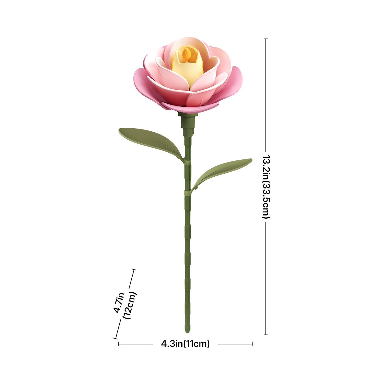 Esquema de dimensiones de la camelia rosa AD011 — AD011