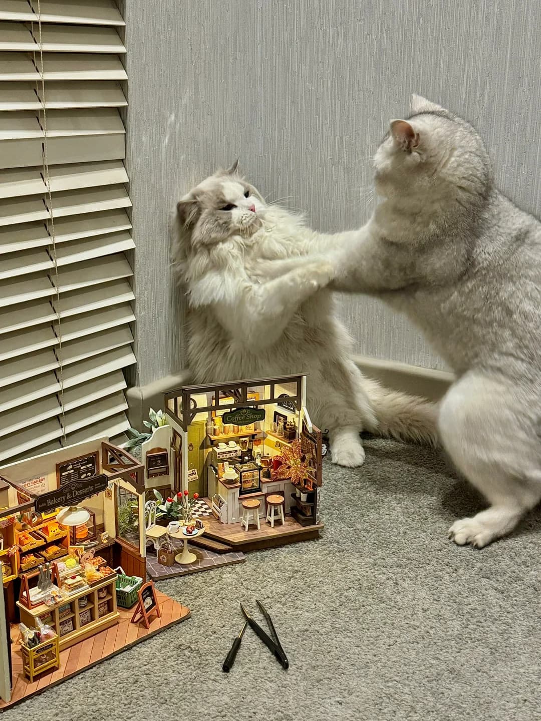 Elodies Katzen mit Rolife Miniaturhäusern