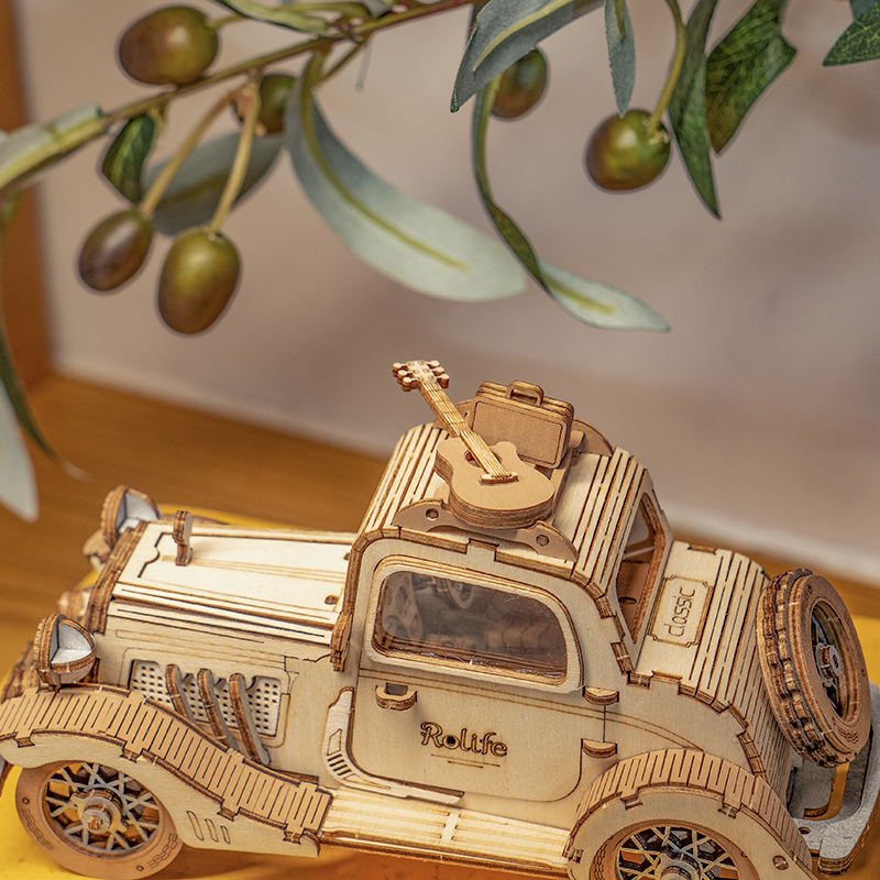 Nahaufnahme des Rolife-Vintage-Car-Dachträgers mit Gitarre und Gepäck