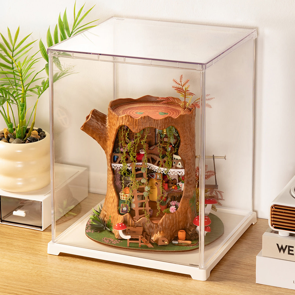 Rolife acryl beschermhoes staand maat L DF06L displaydoos met miniatuurhuis erin