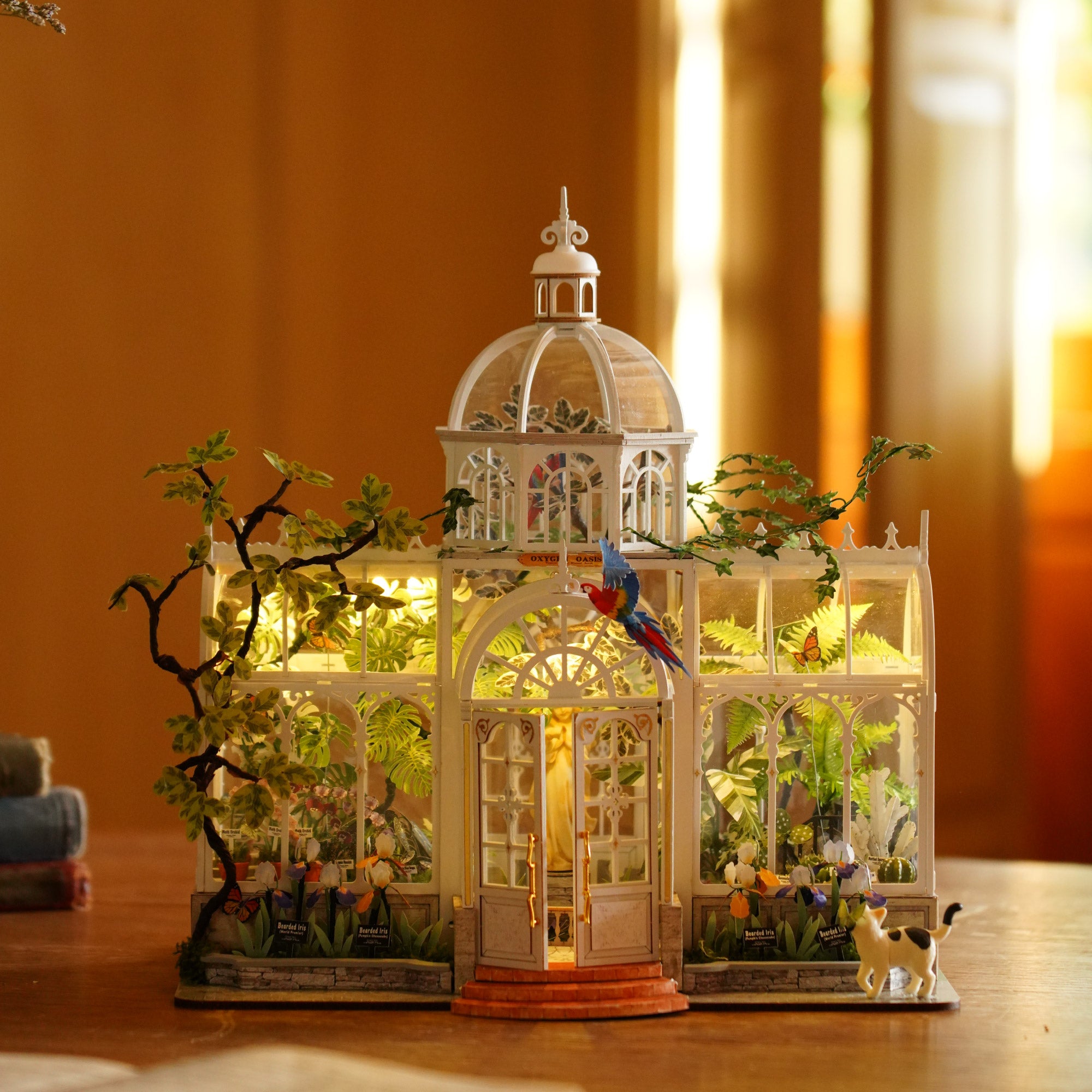 Rolife Oxygen Oasis DH102 voltooide botanische tuindisplay met warme interieurdetails
