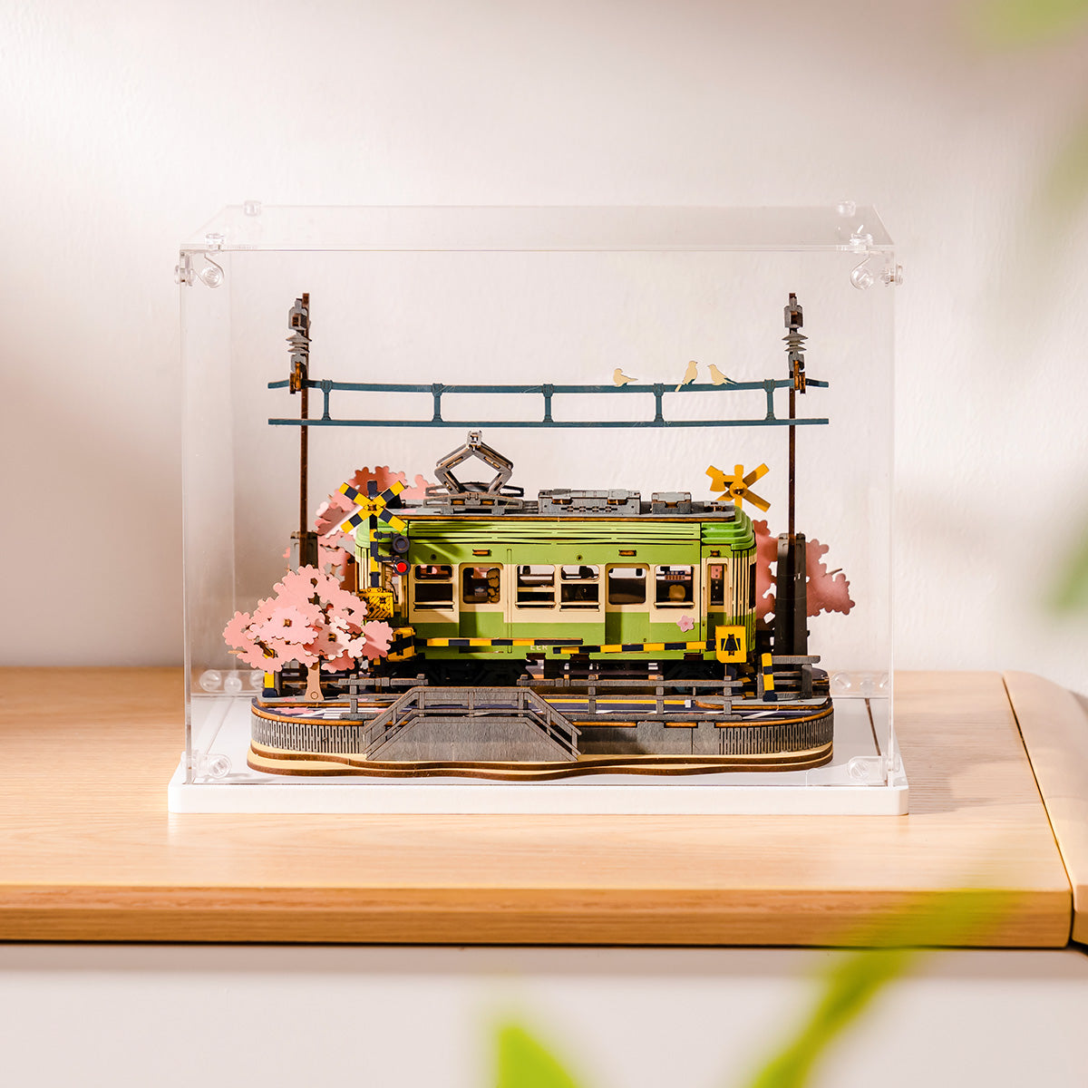 Rolife Creation Set Display Box TGF01 detailweergave
