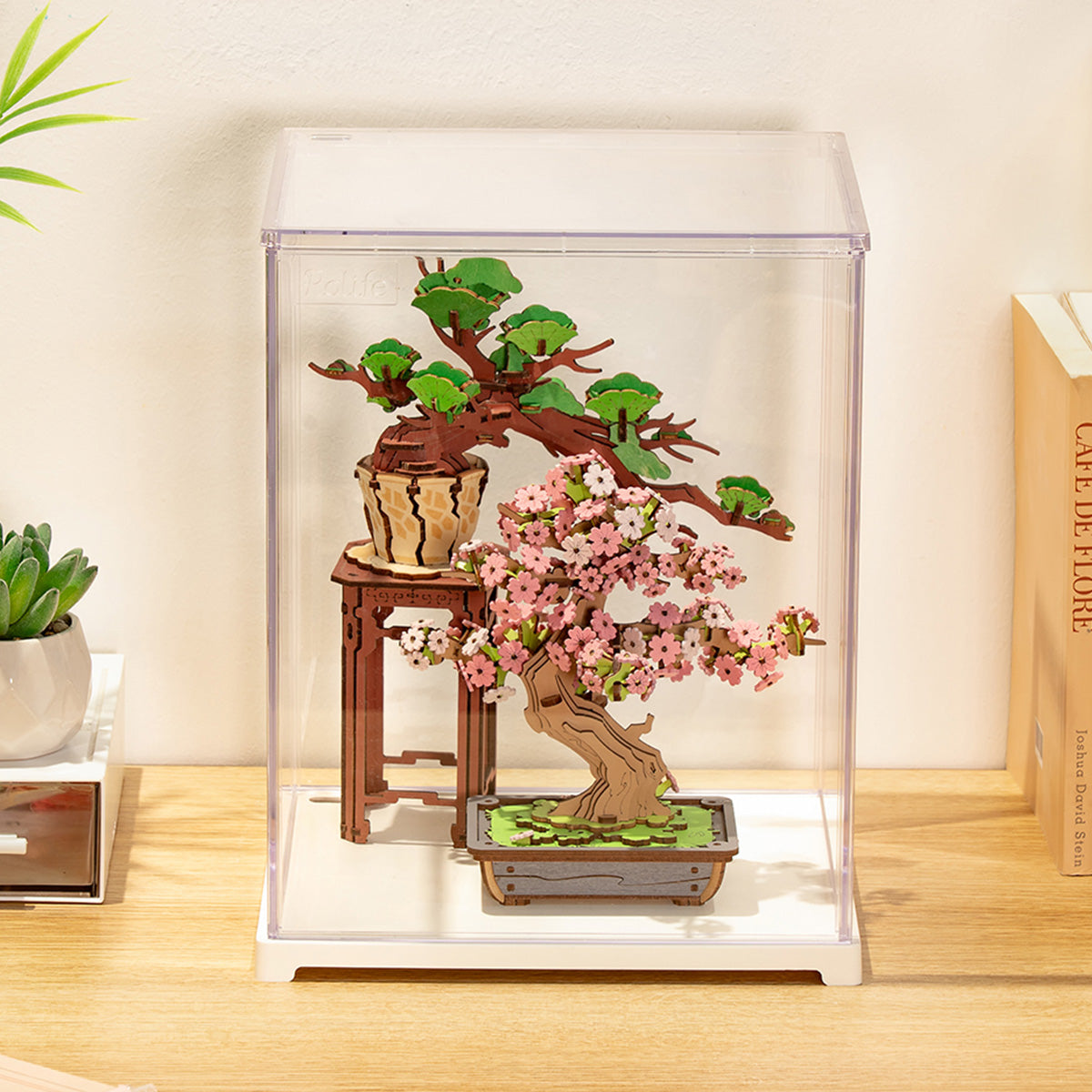 DF05L heldere vitrine met een miniatuurbonsai erin