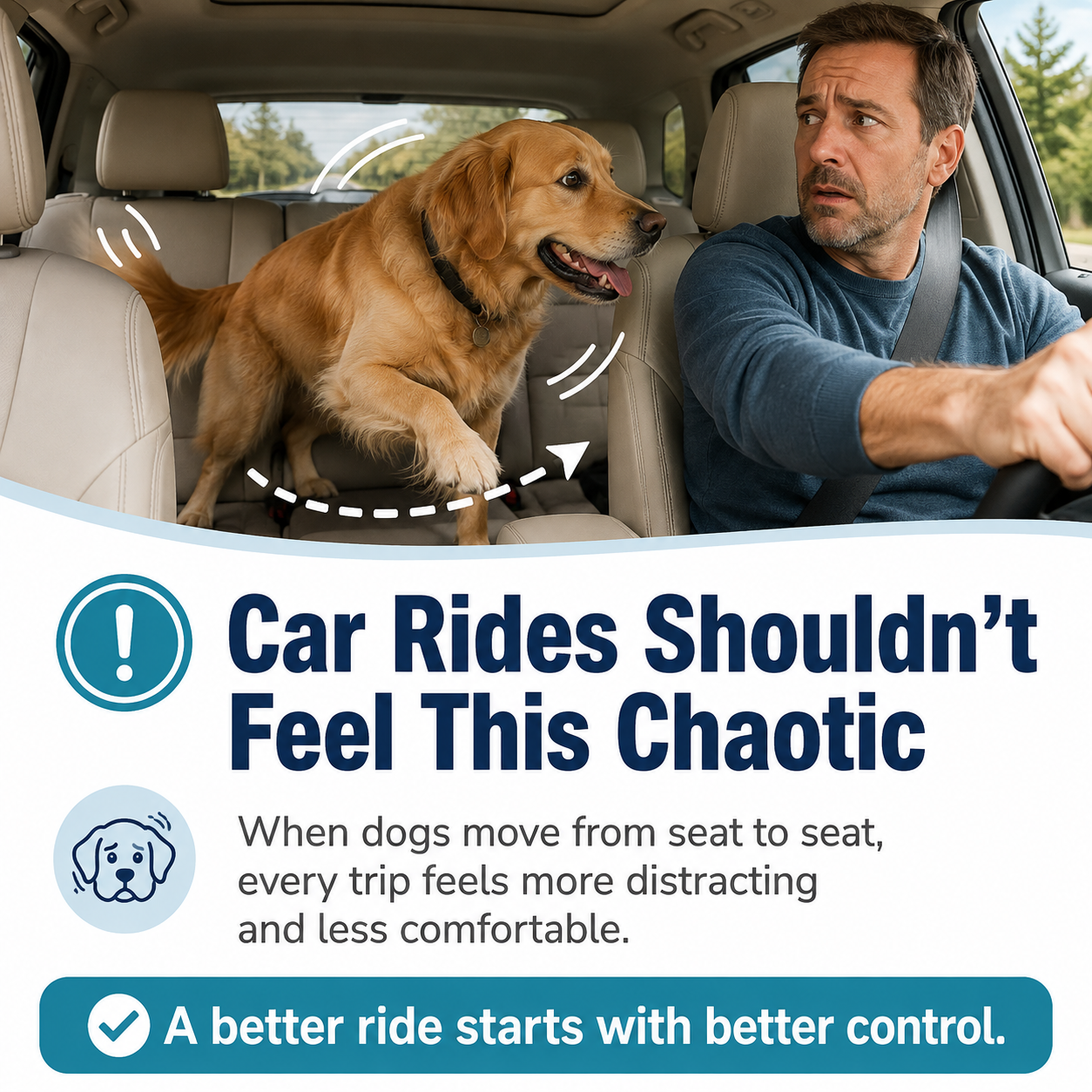 Dog moving around the back seat and distracting the driver