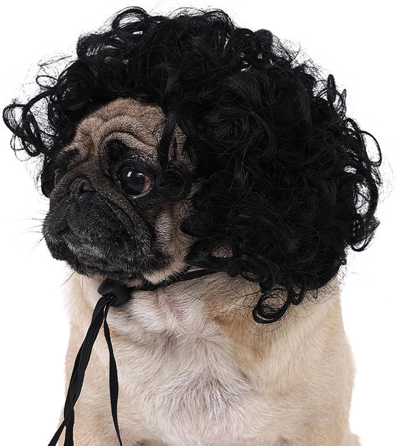 Cute Short Hair Wig Pet Headband