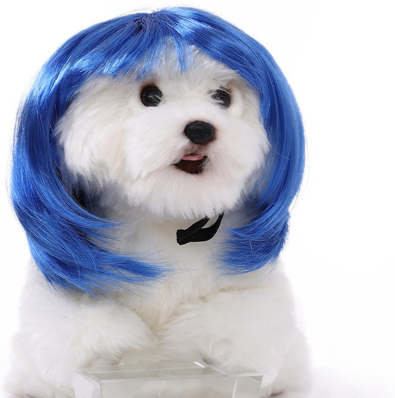 Cute Short Hair Wig Pet Headband