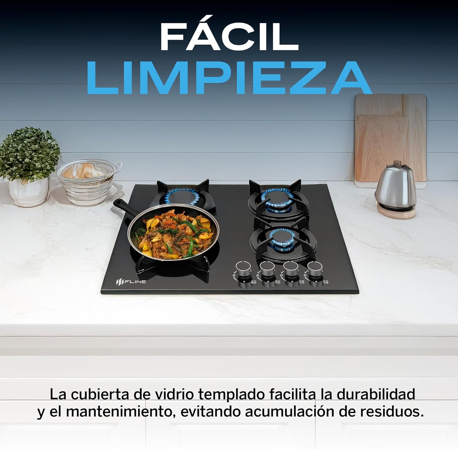 Parrilla De Gas Empotrable 4 Quemadores | Acero Inoxidable | Gas LP Y Gas Natural | Encendido Electrónico | Estufa De Mesa | Parrilla De Inducción | Fácil Limpieza