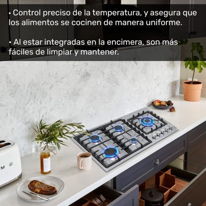 Gutstark Estufa Parrilla Acero Inoxidable A Gas 5 Quemadores Empotrable Hogar Cocina Gas Lp Gas Natural