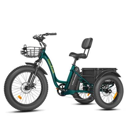 [750W] Triciclo eléctrico de tracción trasera MF-30 Ver 2024