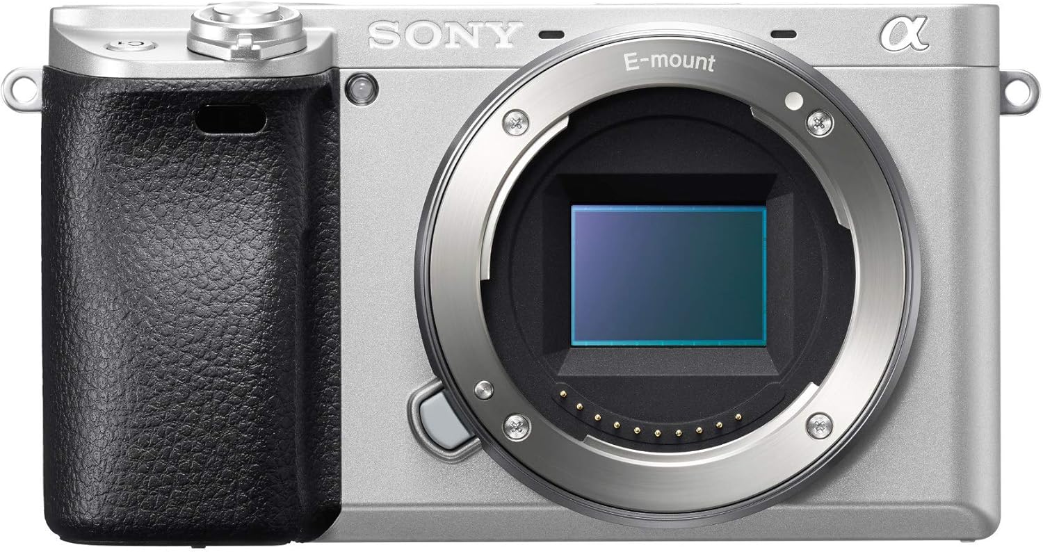 Sony Alpha a6300 Mirrorless Digital Camera with E PZ 16-50mm F3.5-5.6 OSS Power Zoom Lens (Black)