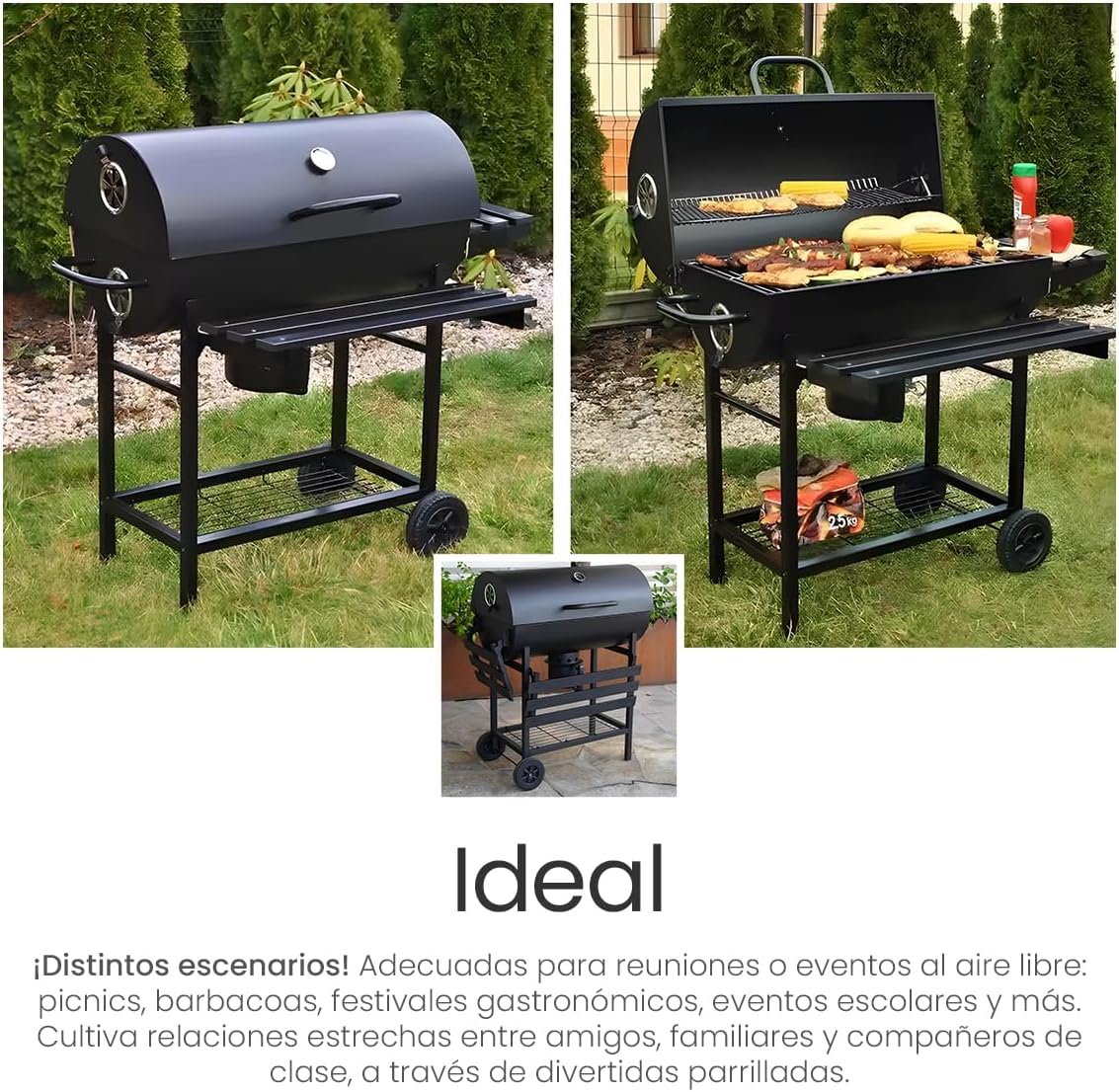 Raganet, Parrilla Asador de Carbón con Cenicero, Termómetro, Ruedas, Amplia Superficie de Cocción y Material Resistente, Ideal para Jardín y Terraza