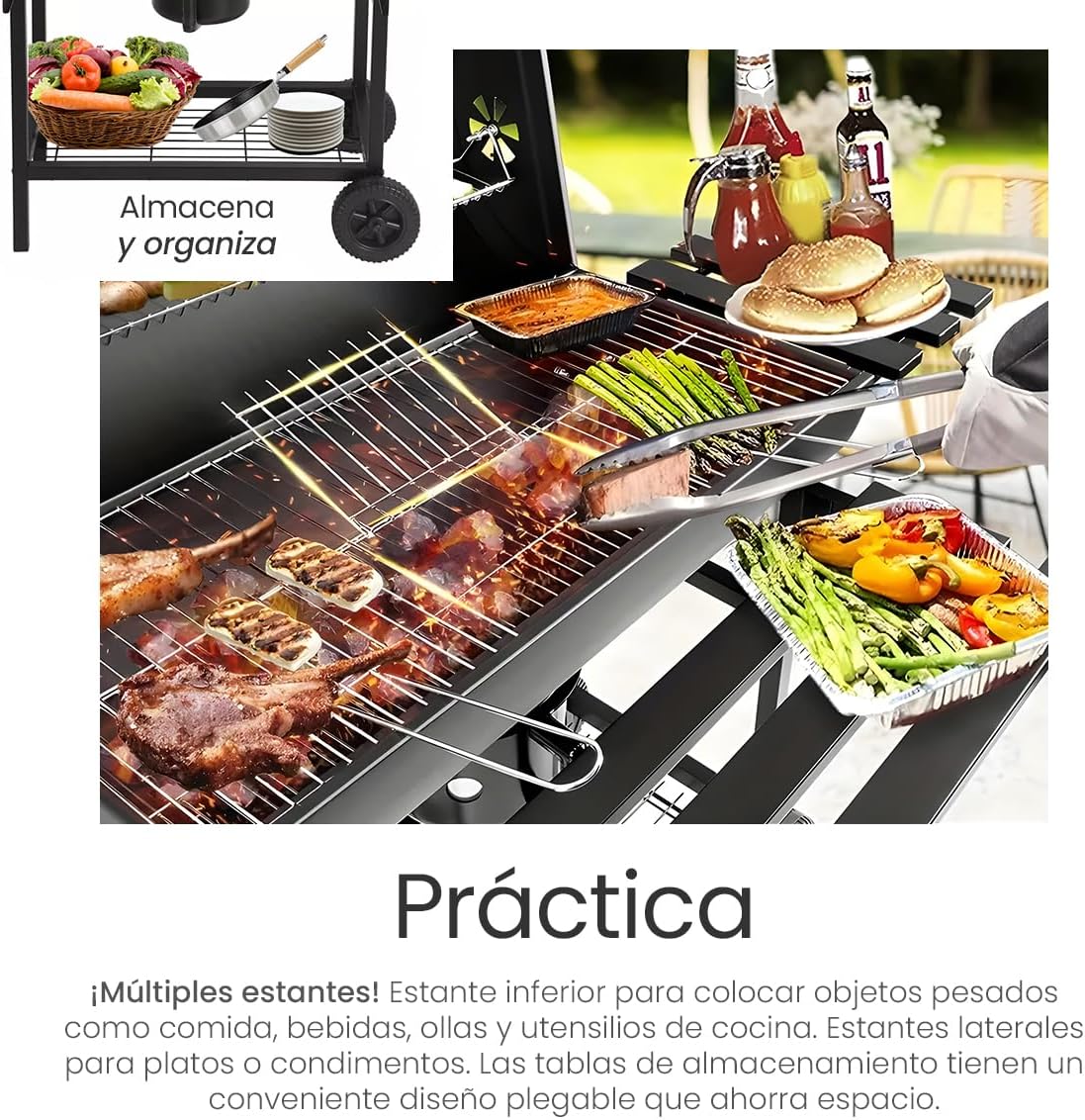 Raganet, Parrilla Asador de Carbón con Cenicero, Termómetro, Ruedas, Amplia Superficie de Cocción y Material Resistente, Ideal para Jardín y Terraza