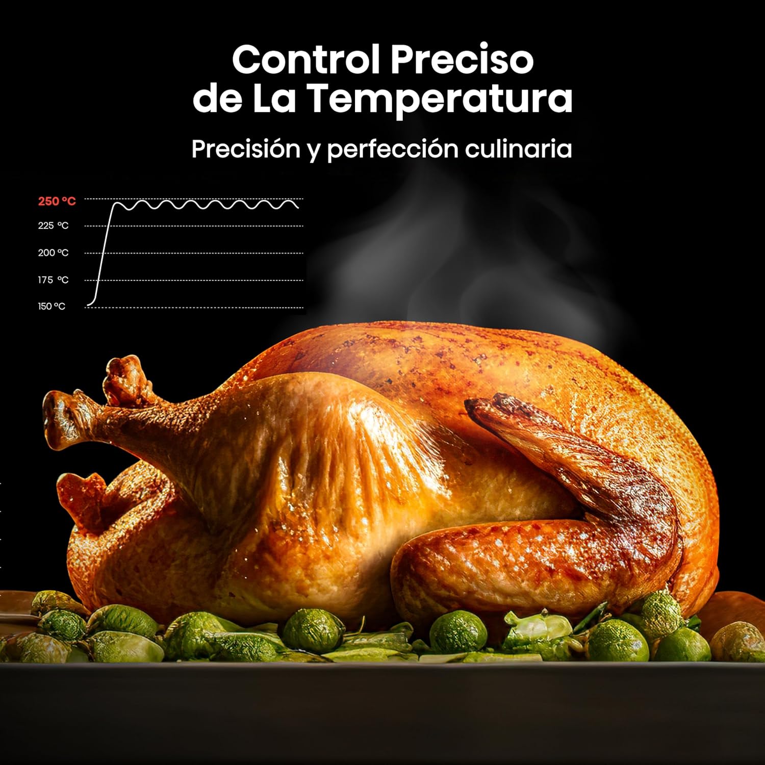 Hisense Horno de gas empotrable 67L, parrilla de gas, flujo de aire múltiple, temperatura precisa, puerta extraíble de fácil limpieza, temporizador, HGO602BS