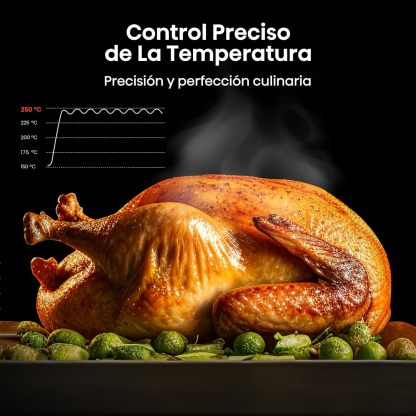 Hisense Horno de gas empotrable 67L, parrilla de gas, flujo de aire múltiple, temperatura precisa, puerta extraíble de fácil limpieza, temporizador, HGO602BS