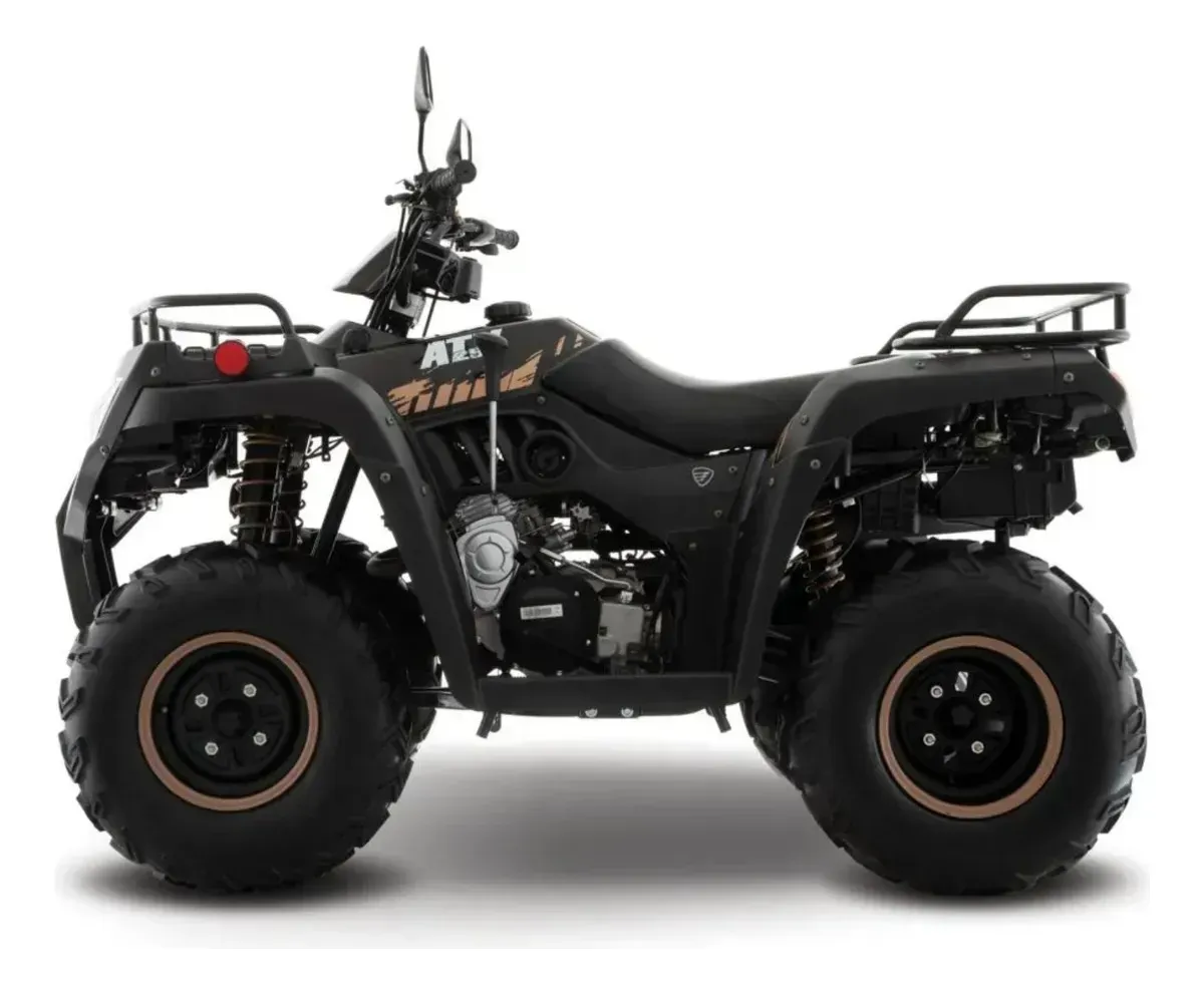 Cuatrimoto Italika Atv250 Negro