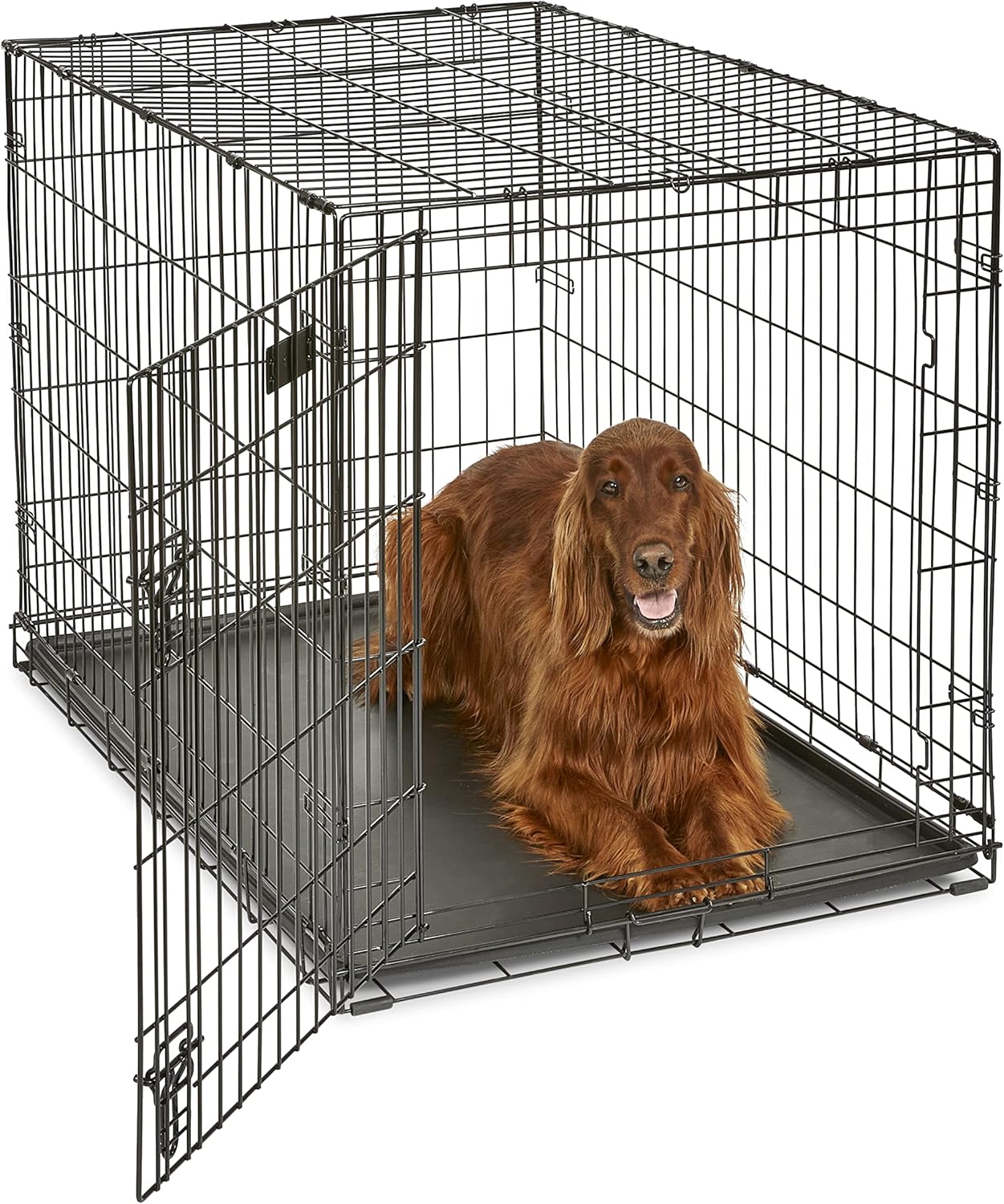 MidWest Homes for Pets - Jaula para perros XL | Jaula para perros MidWest iCrate de metal plegable con doble puerta con panel divisor, protege los pies y bandeja para perros a prueba de fugas | 48 pulgadas de largo x 30 de ancho x 33 pulgadas de alto, raz