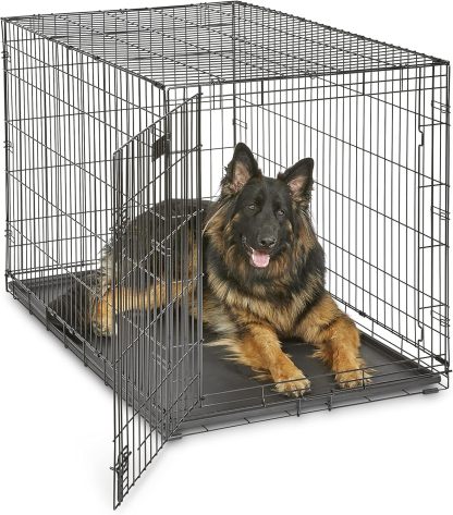 MidWest Homes for Pets - Jaula para perros XL | Jaula para perros MidWest iCrate de metal plegable con doble puerta con panel divisor, protege los pies y bandeja para perros a prueba de fugas | 48 pulgadas de largo x 30 de ancho x 33 pulgadas de alto, raz