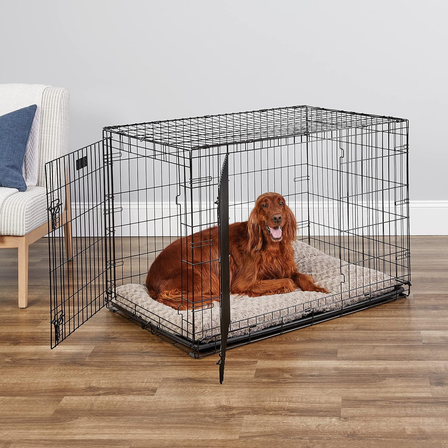 MidWest Homes for Pets - Jaula para perros XL | Jaula para perros MidWest iCrate de metal plegable con doble puerta con panel divisor, protege los pies y bandeja para perros a prueba de fugas | 48 pulgadas de largo x 30 de ancho x 33 pulgadas de alto, raz