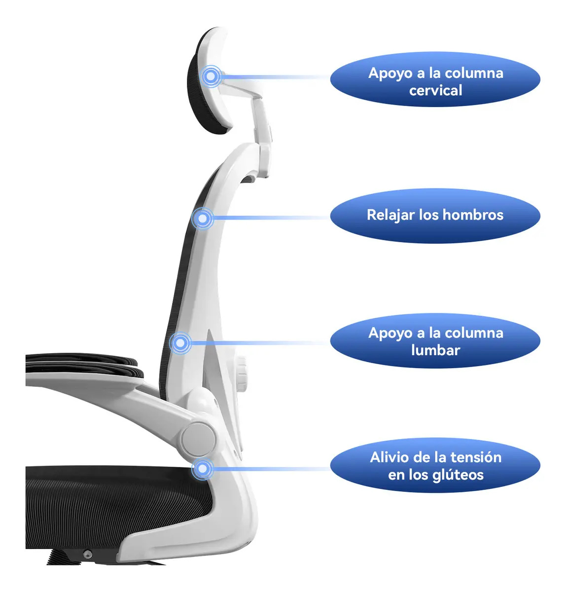 Silla Amia Ergonómica De Escritorio Oficina Soporte Lumbar Elástico Giratoria