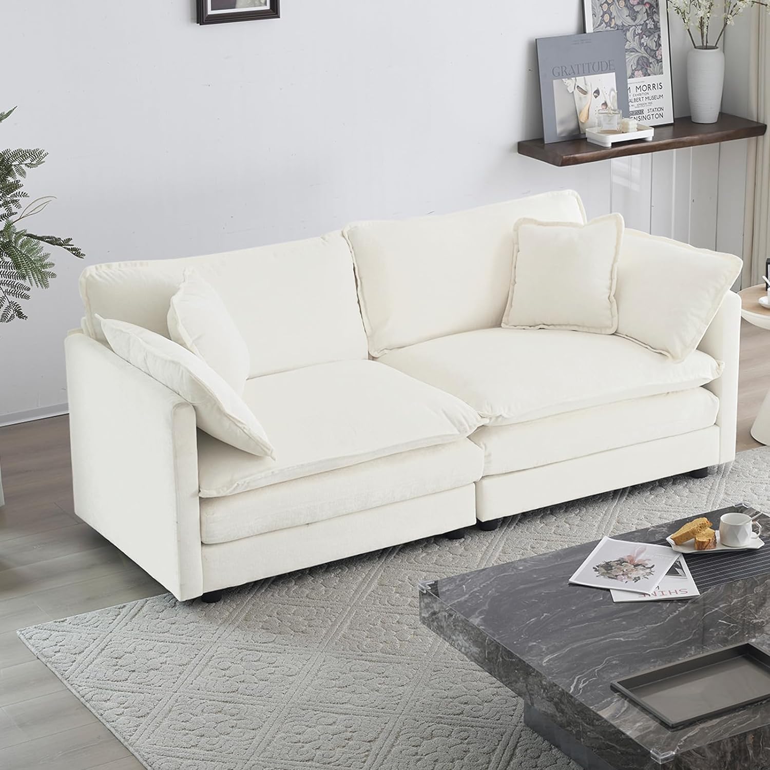 Neylory - Sofá de dos plazas con 2 almohadas para sala de estar, recámara, departamento, 2 plazas de felpilla para asiento profundo