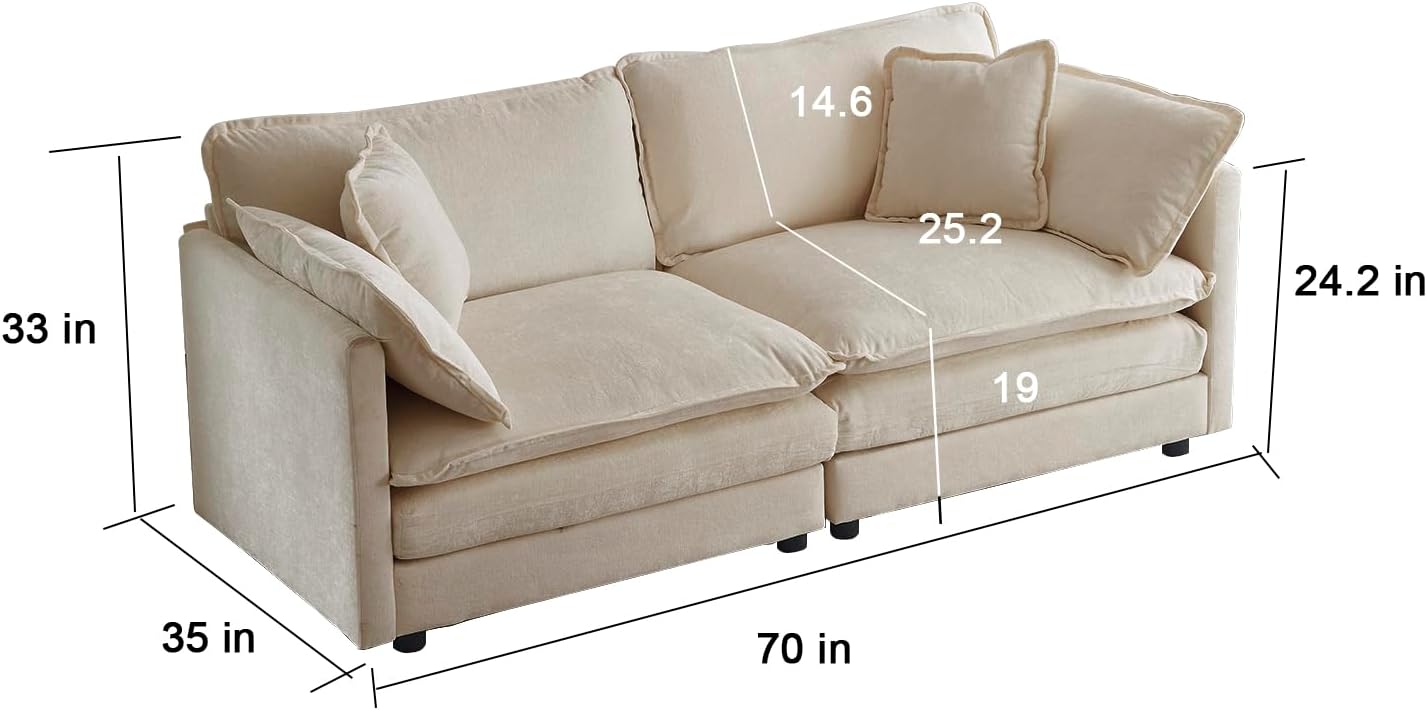 Neylory - Sofá de dos plazas con 2 almohadas para sala de estar, recámara, departamento, 2 plazas de felpilla para asiento profundo