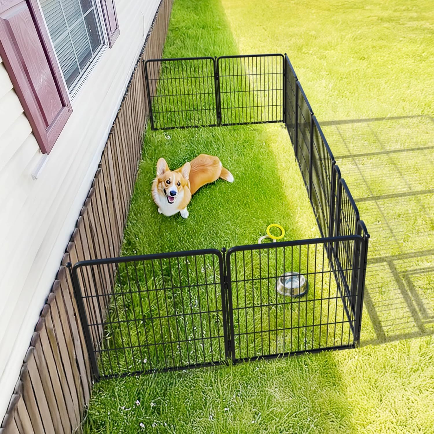 FXW Rollick Corral para Perros para Patio, RV Camping│Patentado, 24 Pulgadas 8 Paneles
