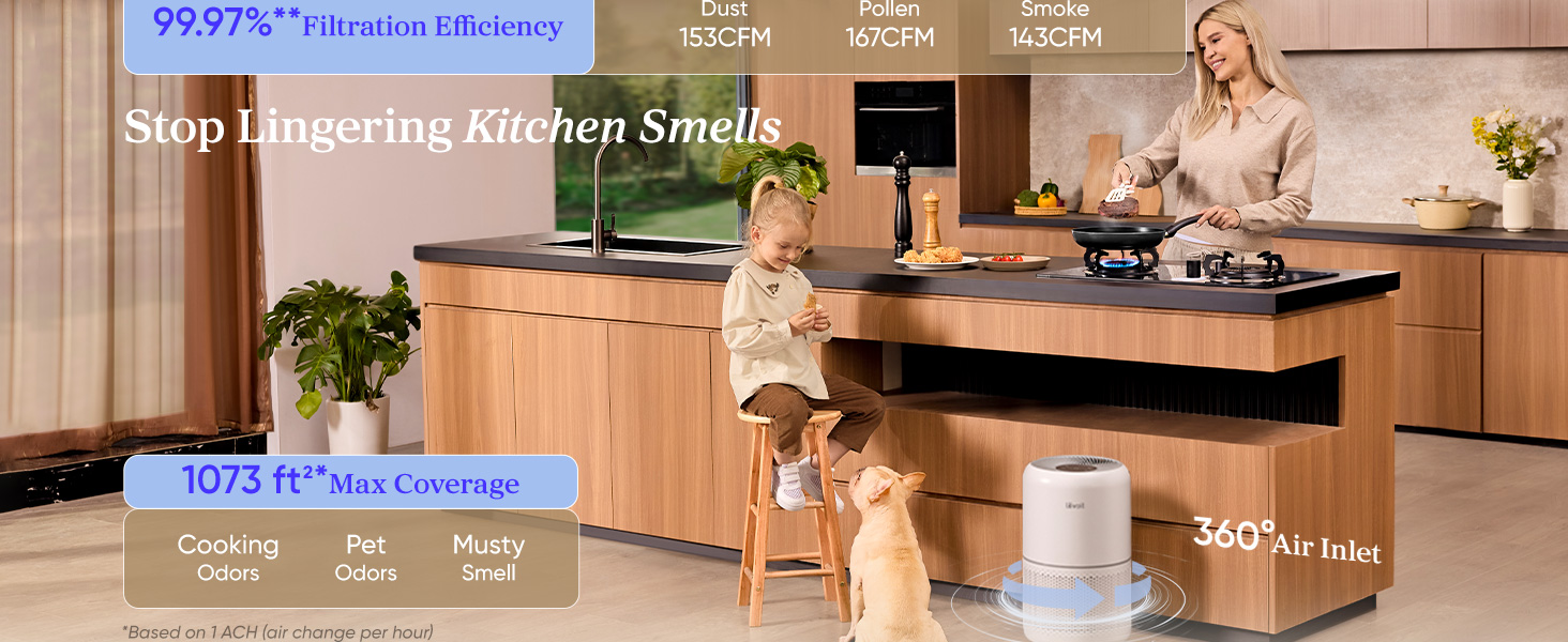 air purifier