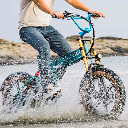 yg-Fiido M1 Pro Bicicleta Electrica Plegable De Ruedas Gordas