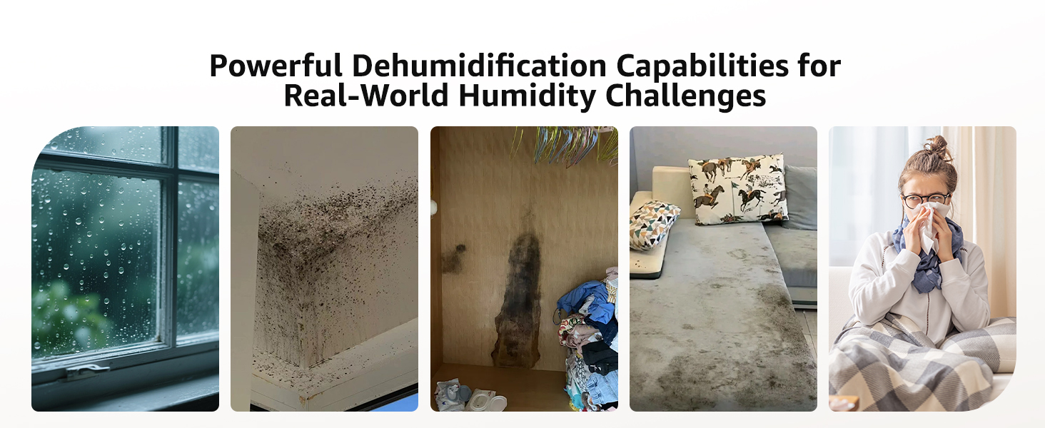 dehumidifiers