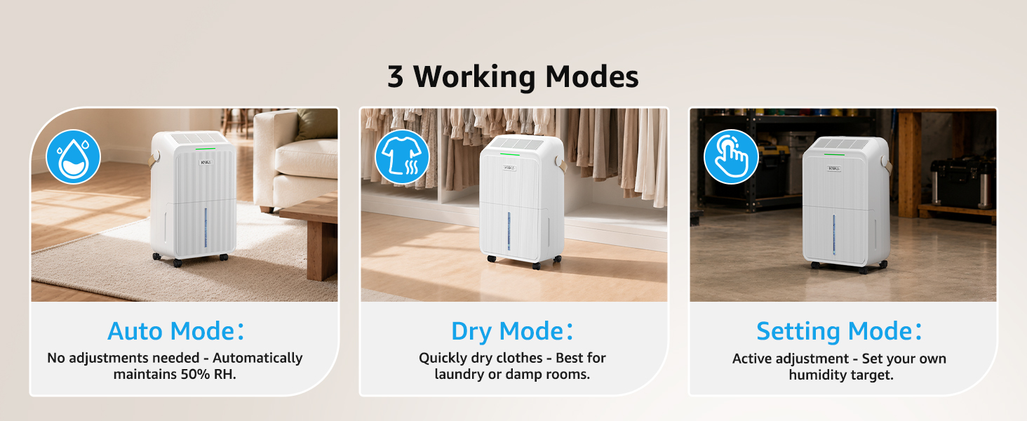 dehumidifier