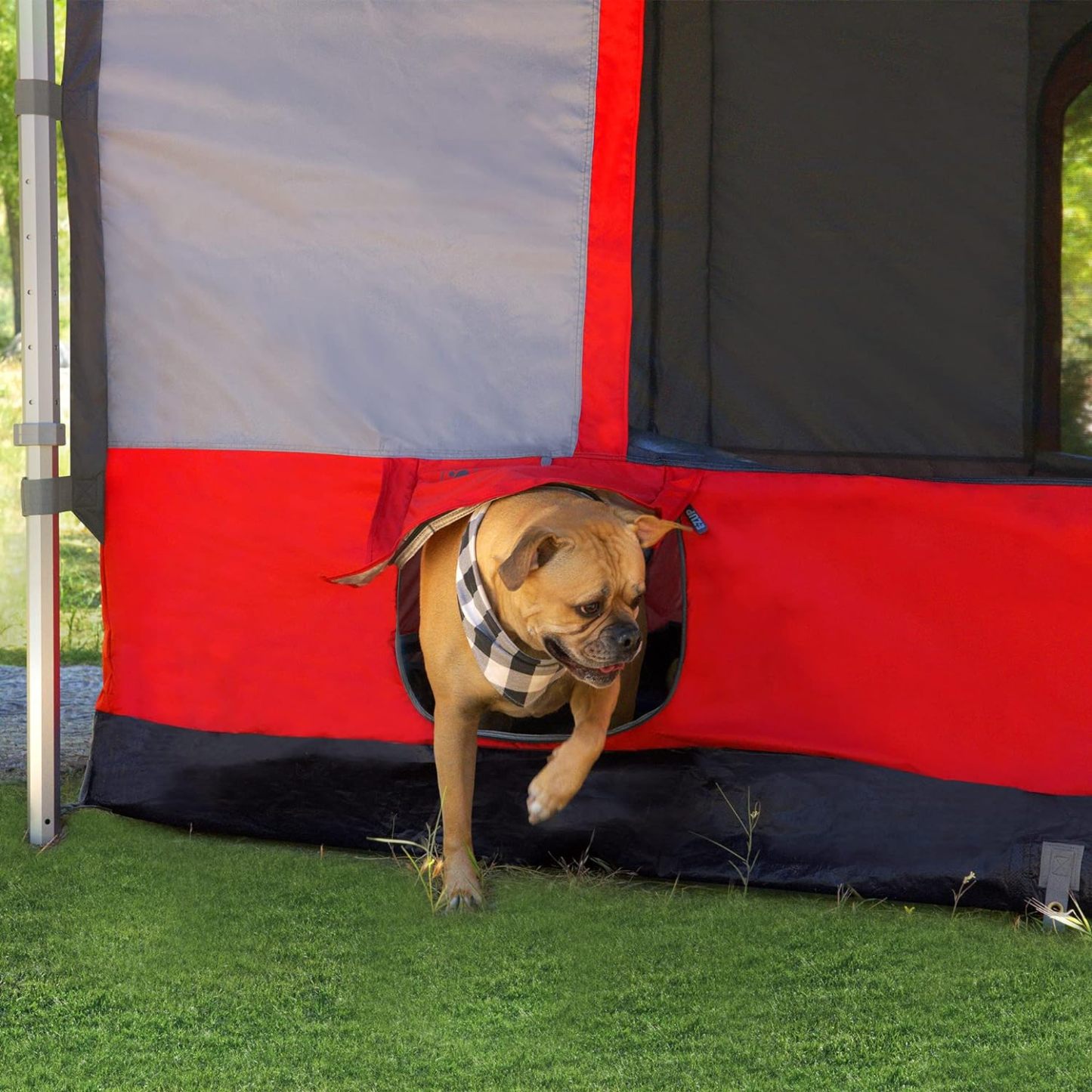 E-Z UP Inc Camping Cube 6.4 Tienda de campaña para Exteriores, Punch