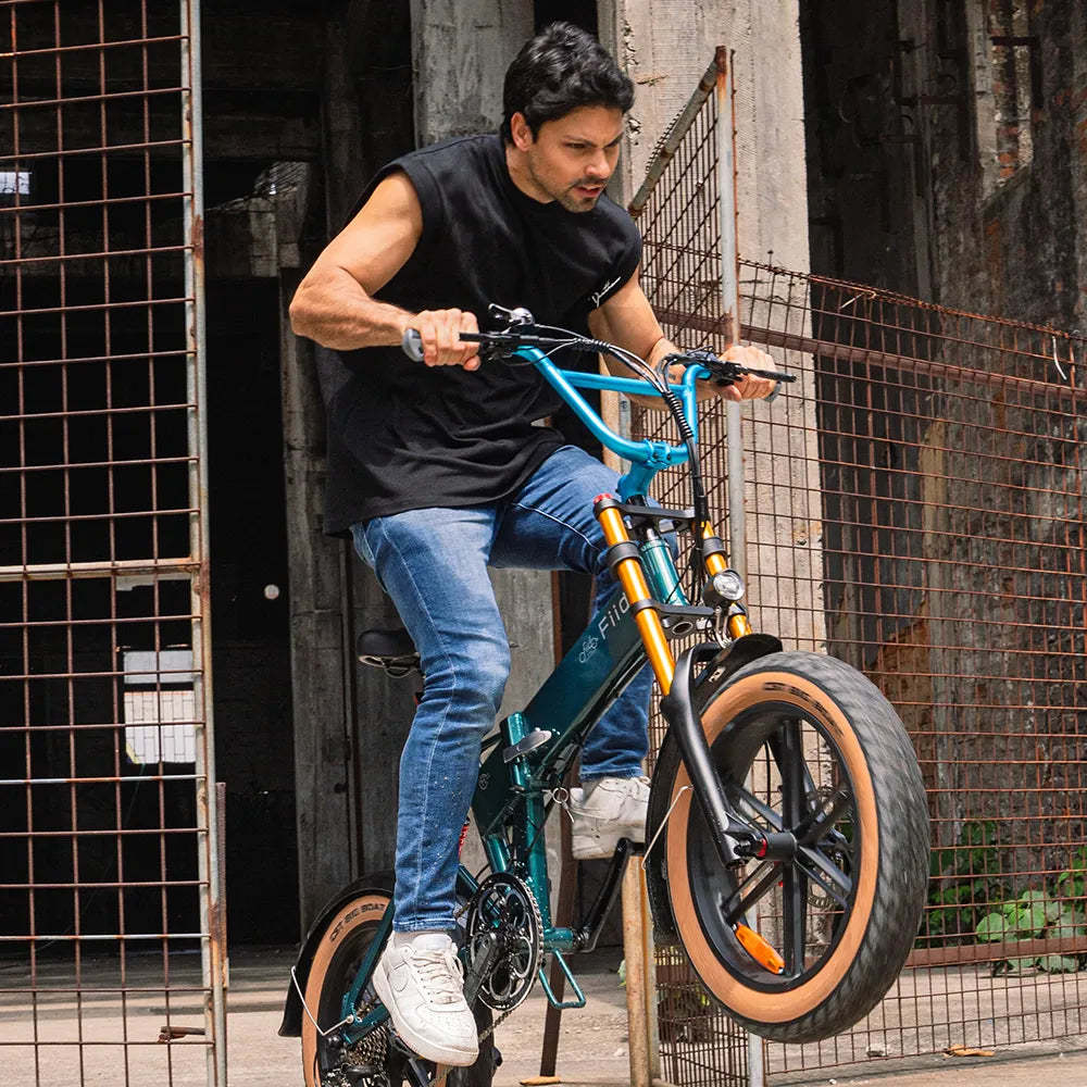 yg-Fiido M1 Pro Bicicleta Electrica Plegable De Ruedas Gordas