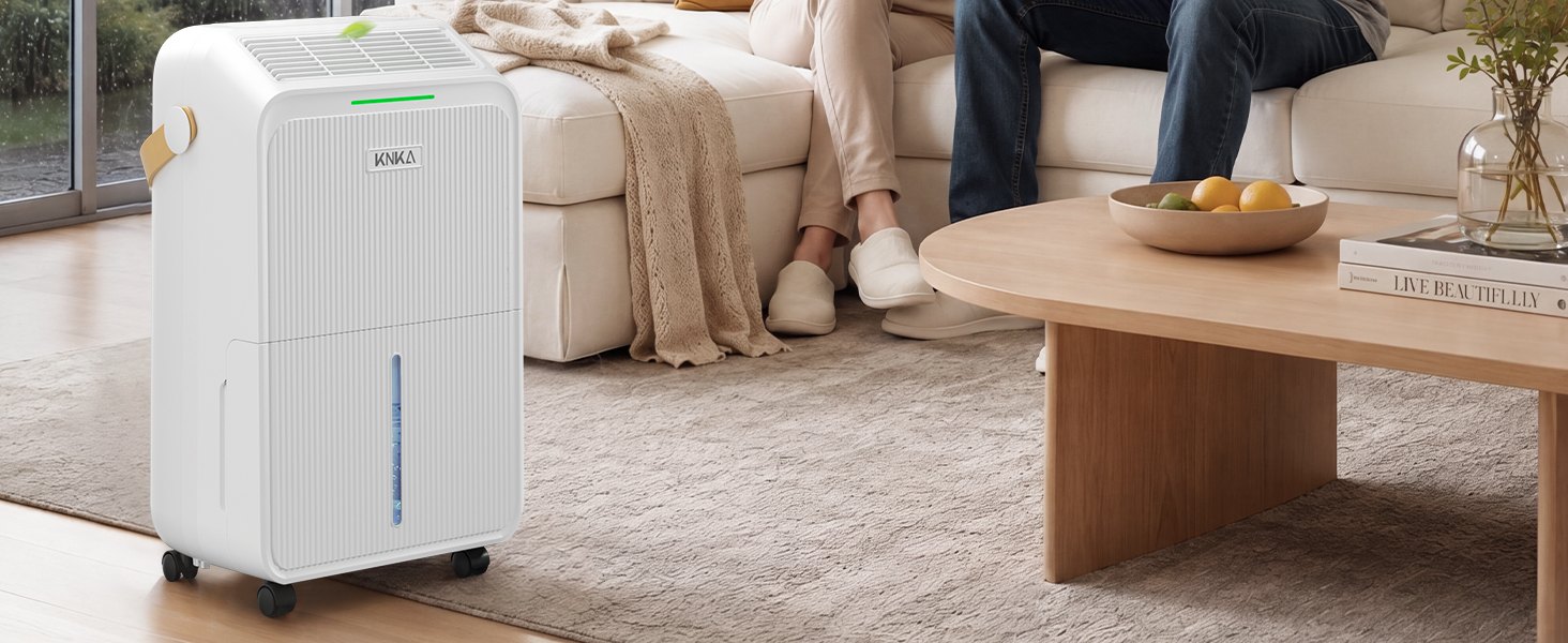 dehumidifier for home