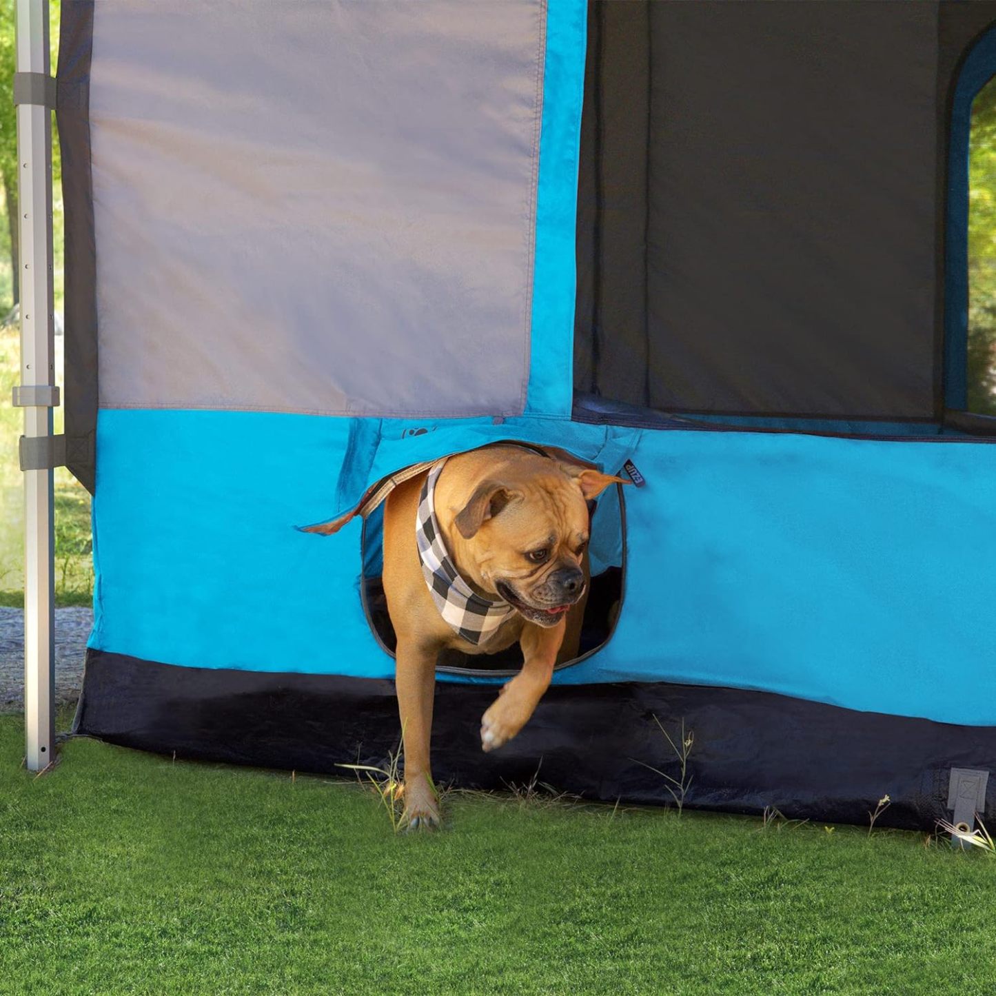 E-Z UP Inc Camping Cube 6.4 Tienda de campaña para Exteriores, Punch