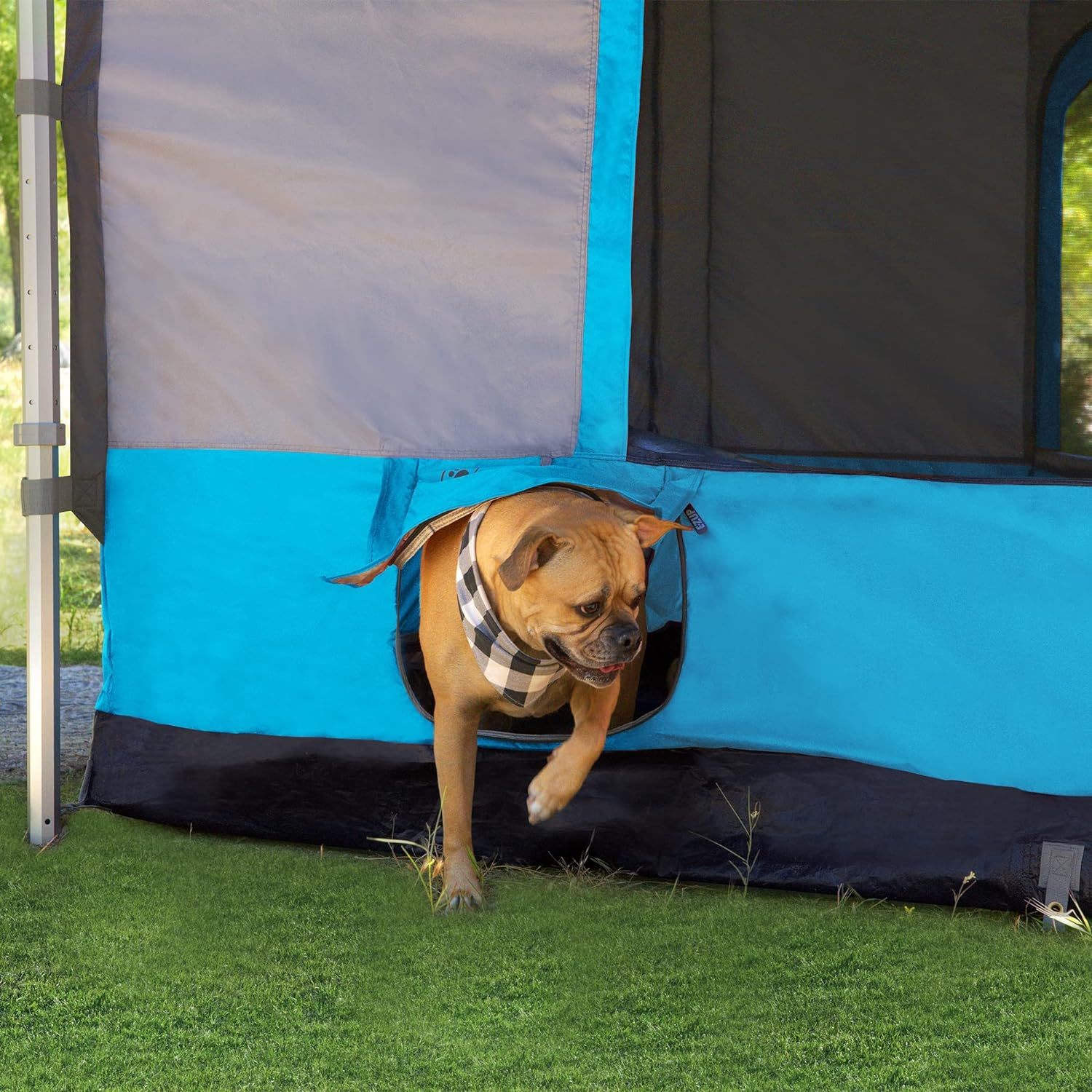 E-Z UP Inc Camping Cube 6.4 Tienda de campaña para Exteriores, Punch