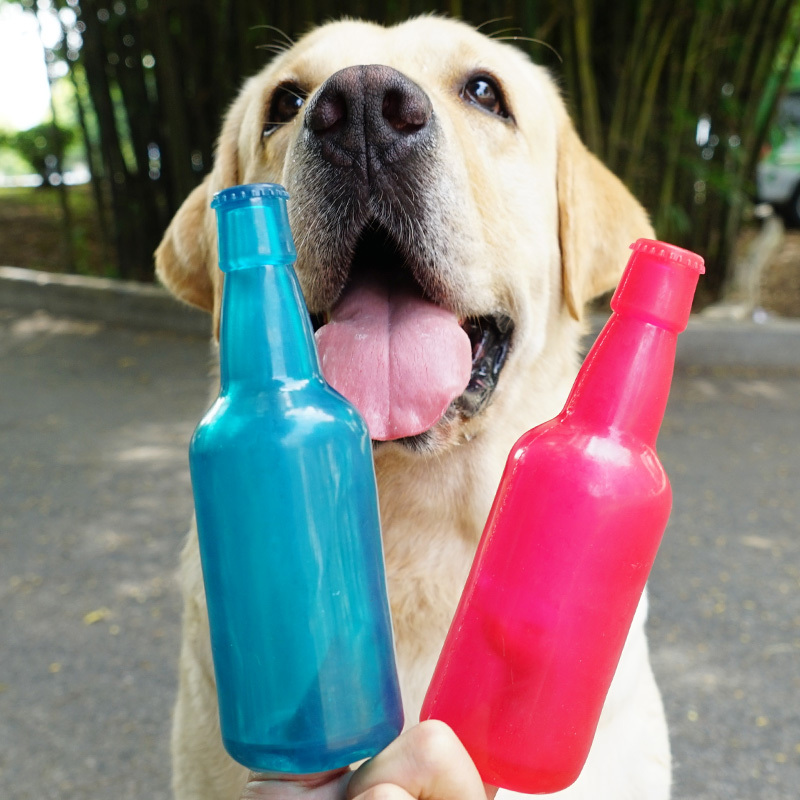 Pet Bottle Interactive Toy