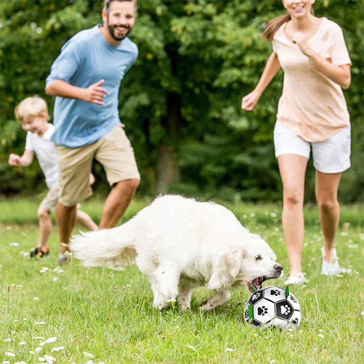 Outdoor & Indoor Football Interactive Dog Toy